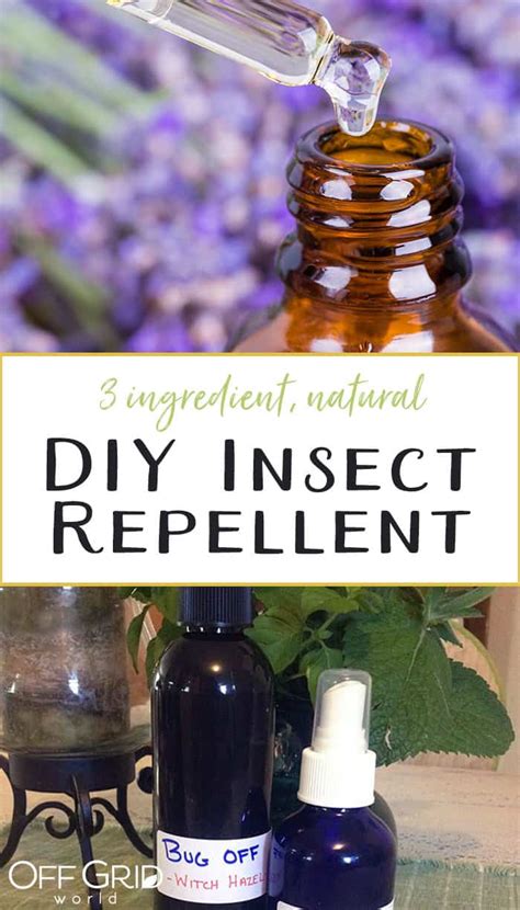 All Natural 3 Ingredient Insect Repellent That Works! - Off Grid World