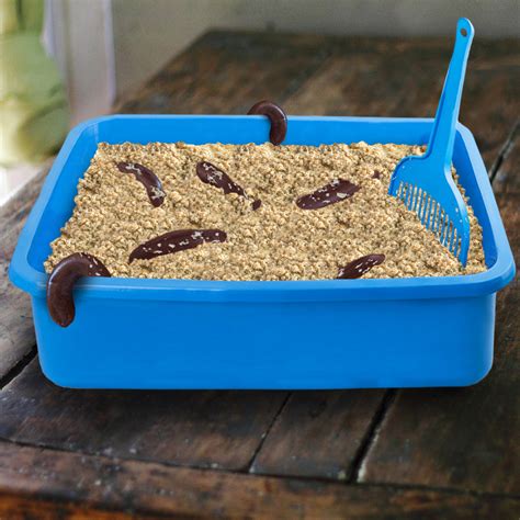 Jada Ryker's Blog - Kitty Litter Cake Recipe – Fun and Delicious - August 10, 2017 07:54