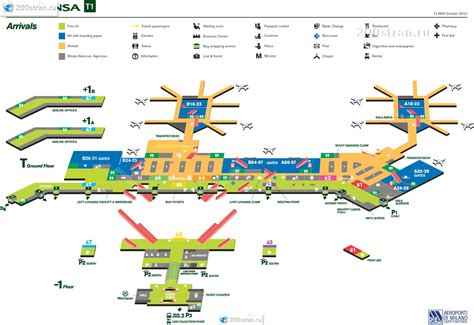 Схема аэропорта Милана Malpensa - MXP (Терминал 1 - Прилёт)