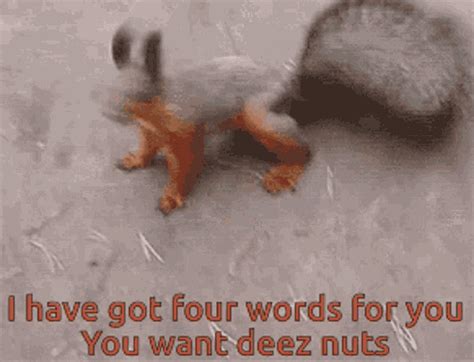 Squirrel IHave Got Words GIF - Squirrel IHaveGotWords ForYou - Discover & Share GIFs