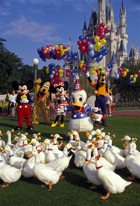 The Walt Disney World Picture of the Day: Happy 68th Anniversary ...