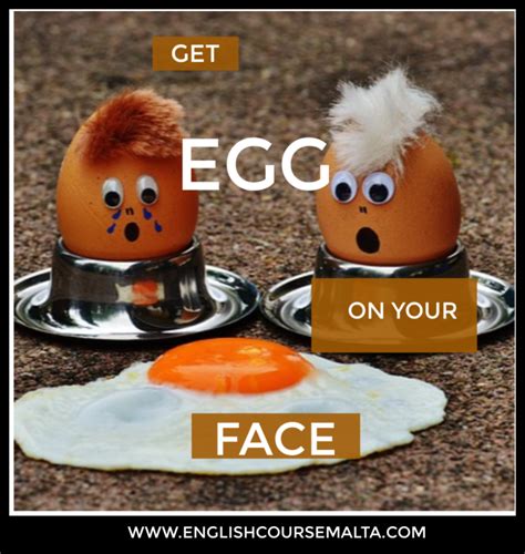 EGG IDIOMS, PROVERBS AND EXPRESSIONS | English Course Malta