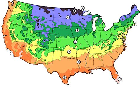 Hardy Zone Tool | Utah is Zones 4-8 | Willowcreek Tree Farms