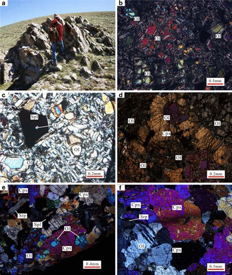 Photograph of outcrop and photomicrographs of representative ultramafic ...