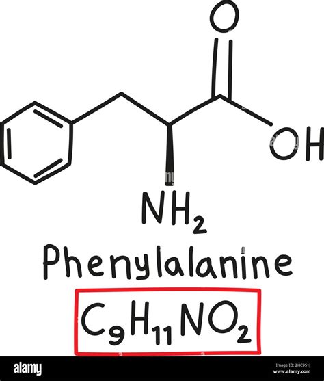 Phenylalanine amino acid molecule hi-res stock photography and images - Alamy