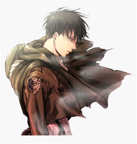 Levi Rivaille Ackerman - Levi Ackerman Fan Art, HD Png Download - kindpng