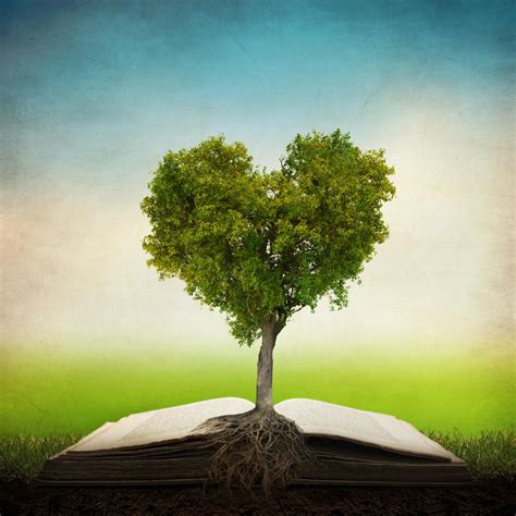 Tree of life by Kevin Carden / 500px | How he loves us, Tree of life, Bible