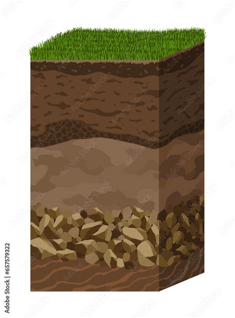 Soil layers. Surface horizons upper layer of earth structure with ...