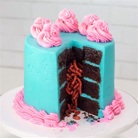 Worm-filled Birthday Cake - Pankobunny
