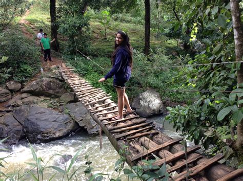 Abbey falls!! Coorg | Outdoor, Outdoor structures, Garden bridge