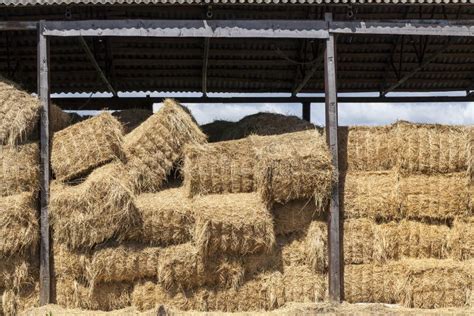 Square Hay Bales Stacked Up Stock Image - Image of feed, farming: 15695721