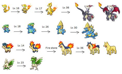 Evolution Of Pokemon Chart