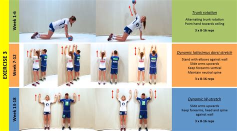 How to Movement : Prevention of Non-Traumatic Shoulder Injuries in Handball: A Review of Current ...