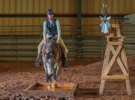 The Inaugural TriStar Horse Show... - Southern Equine Expo