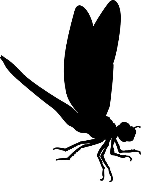 Insect Dragonfly Silhouette Image Vector graphics - insect png download - 760*981 - Free ...