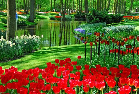 Keukenhof Park, Netherlands photo on Sunsurfer