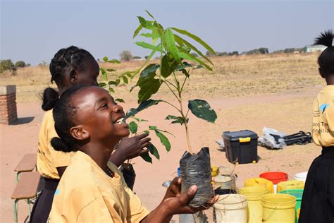 Wildlife and Environmental Conservation Society Of Zambia (WECSZ ...