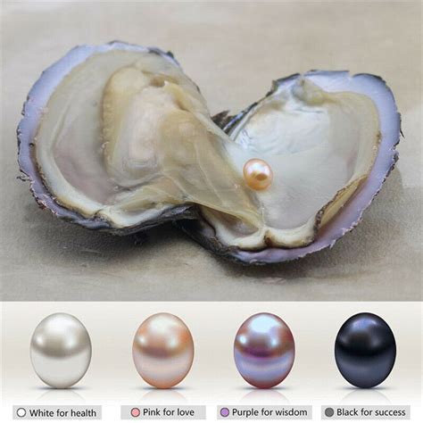 Natural Pearl Oyster With Real Pearl 7-9mm Freshwater Pearl Vacuum ...