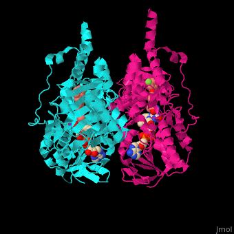 Monoamine oxidase - Proteopedia, life in 3D