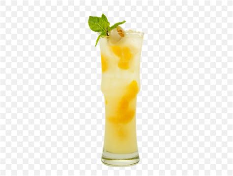 Cocktail Garnish Lemonade Smoothie Fuzzy Navel, PNG, 467x622px, Cocktail Garnish, Batida ...