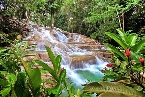 Dunn River Wasserfälle | Erstaunliche und wunderschöne Orte der Welt ...