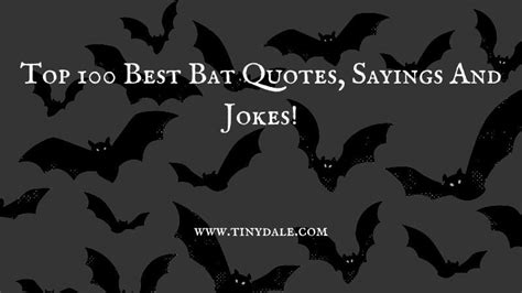 Top 100 Best Bat Quotes, Sayings And Jokes!