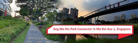 Ang Mo Kio Park Connector in Mo Kio Ave 1, Singapore - Your Singapore Guide