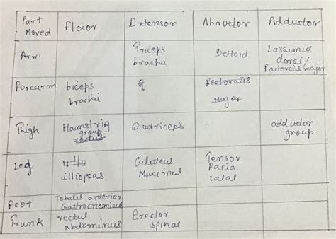 [Solved] LAB REPORT 18 Skeletal Muscle Identification Table Completion (list... | Course Hero