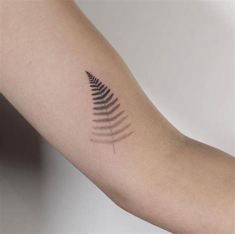 Silver fern tattoo on the inner arm.