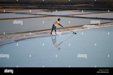 Salt pans on tuticorin Salt Lake, India. It is India's largest saline lake and where salt has ...