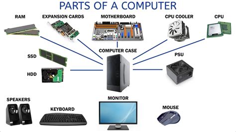 Parts Of Computer/ Basic Parts of a Computer for Kids