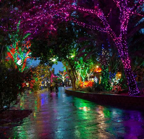 Arizona LeadingAge - 2023 Zoolights - Ticket Purchase