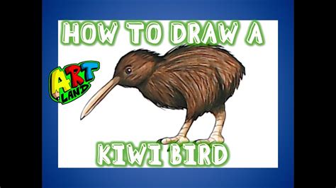 Kiwi Bird Drawing Outline