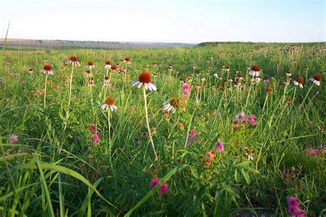 Kirwin National Wildlife Refuge | Natural Atlas