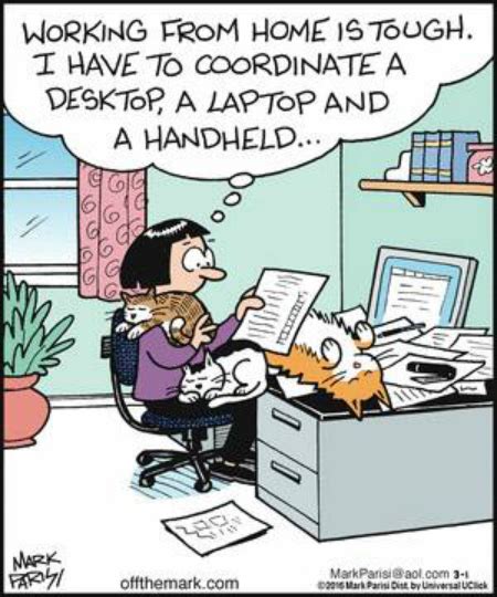 Mystery Fanfare: Cartoon of the Day: Working from Home