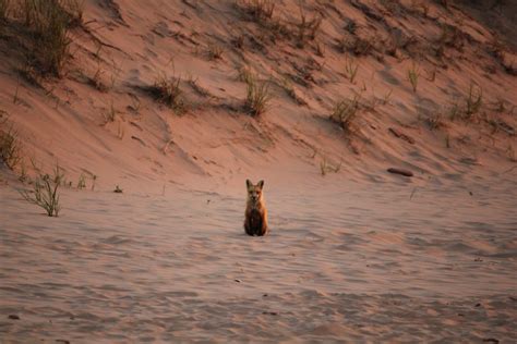 Sunset on Brackley Beach, PEI – Travel, Photography, and Tarot