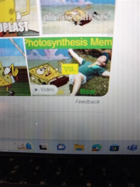 I found sphotohael (Spongebob, photosynthesis, and Michael) : r/MandJTV