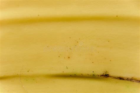 1,658 Banana Peel Texture Stock Photos - Free & Royalty-Free Stock Photos from Dreamstime