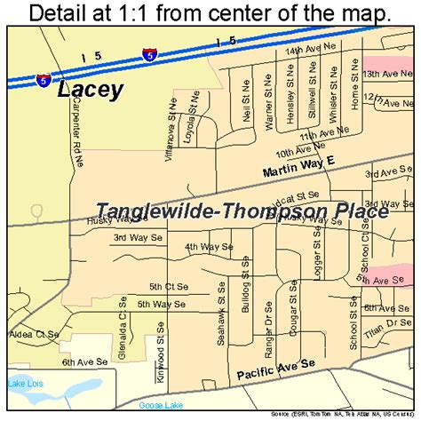 Lacey Washington Street Map 5336745