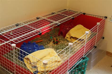 Kibbles 'N Knits: DIY Guinea Pig Cage