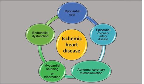 Ischemic Heart Disease Pathophysiology In Hindi - PELAJARAN