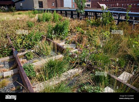 The High LIne Park, Chelsea, Manhattan, New York, USA Stock Photo - Alamy