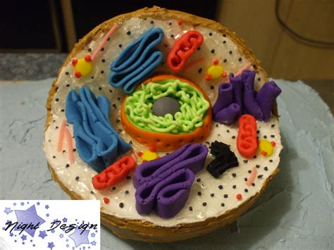 Animal Cell: a cake project by NightsDarkness on DeviantArt