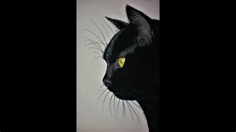 dessiner un chat noir réaliste ( draw realistic black cat ) - YouTube