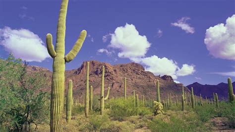 Arizona - Climate | Britannica