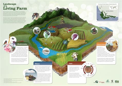 Sustainable agriculture with profitable farming and biodiversity ...