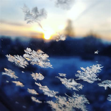 Winter (Haiku). First snowflake arrives | by A.I. Root | Medium