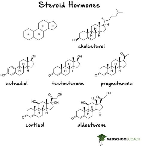 Types of Hormones – MCAT Biology | MedSchoolCoach