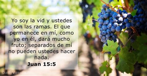 vida de cristo JUAN 15 – Versos biblicos