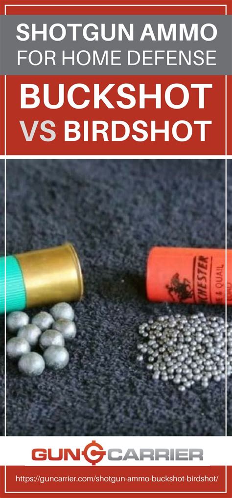 Shotgun Ammo For Home Defense | Buckshot vs Birdshot | Gun Carrier